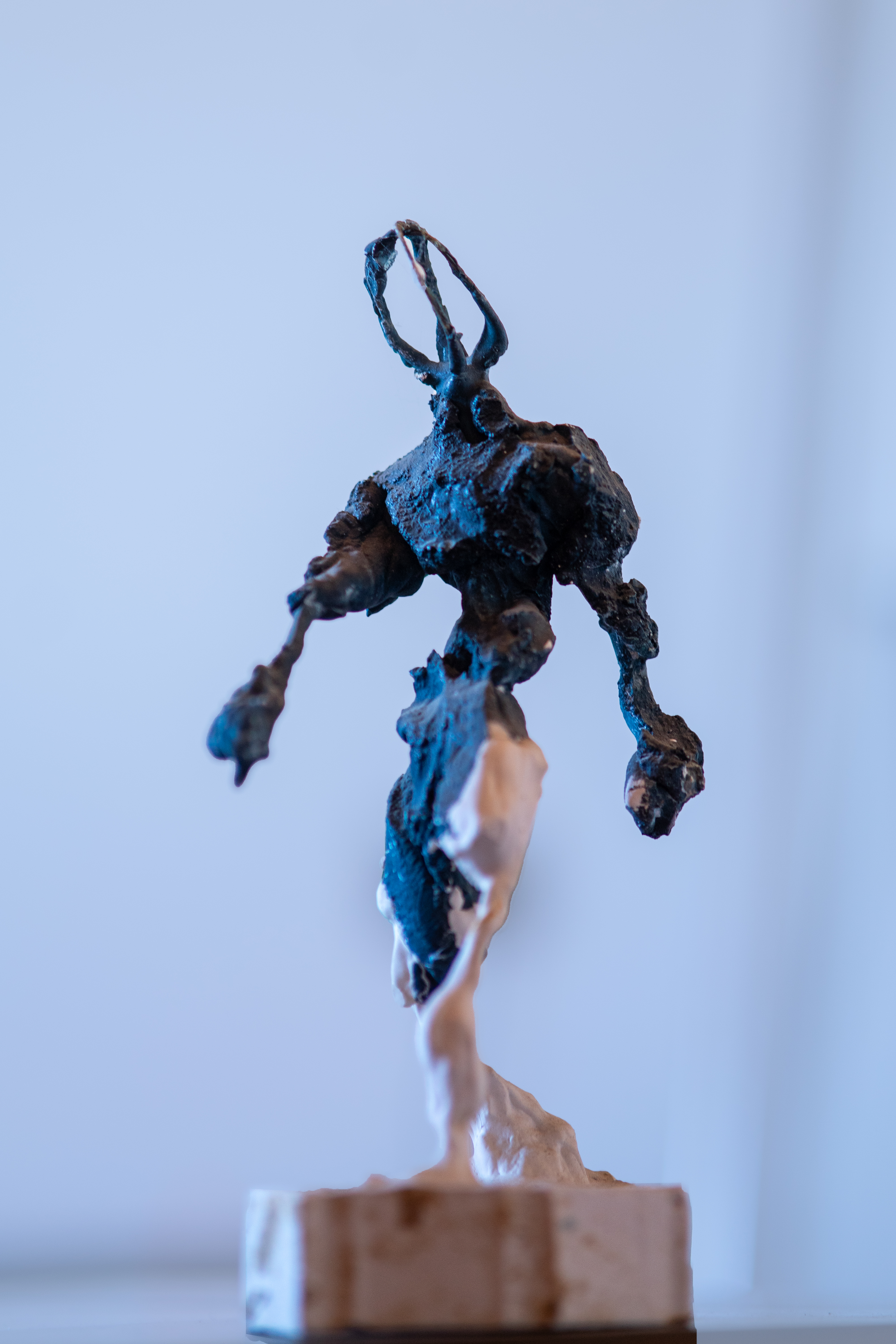 Sculpting Image 3